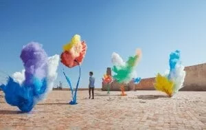 Color Garden