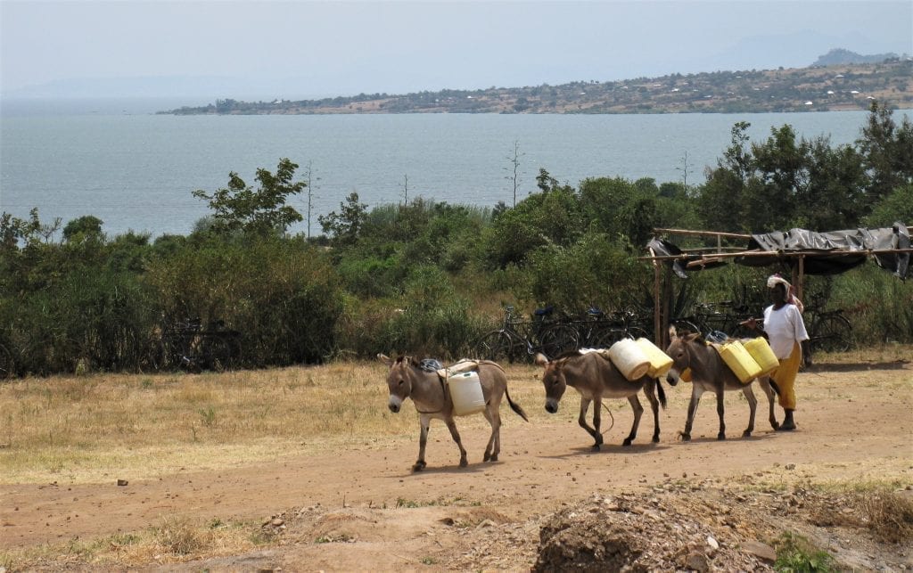 Muhuru Bay