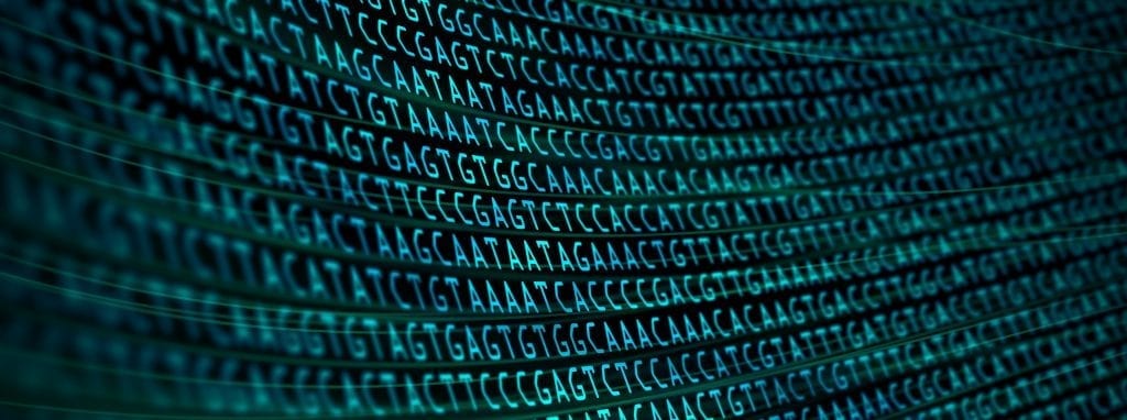 DNA base pair sequences