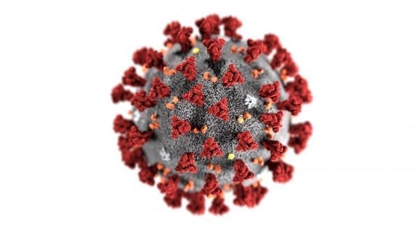 coronavirus structure rendering