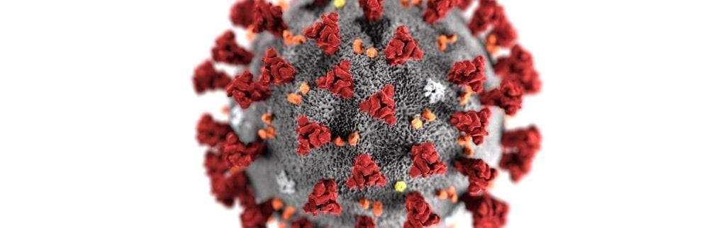 coronavirus structure rendered in 3D