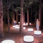 Lenovo brand image: lights in the forest