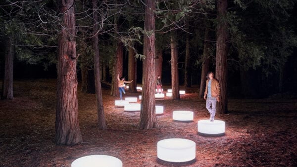 Lenovo brand image: lights in the forest