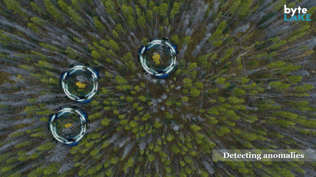 byteLAKE anomaly detection in action over a large forest