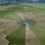 Aerial view of farm fields harvested and grown in concentric circles