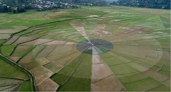 Aerial view of farm fields harvested and grown in concentric circles