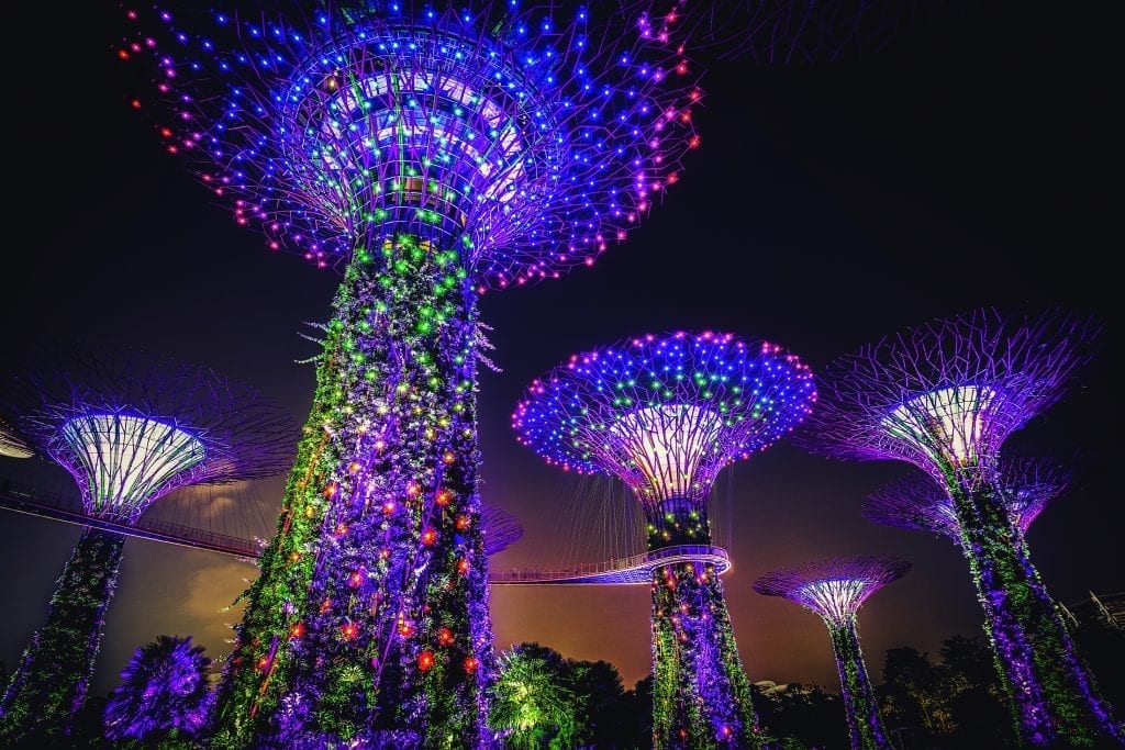 Lenovo brand image -- super trees made of bright lights