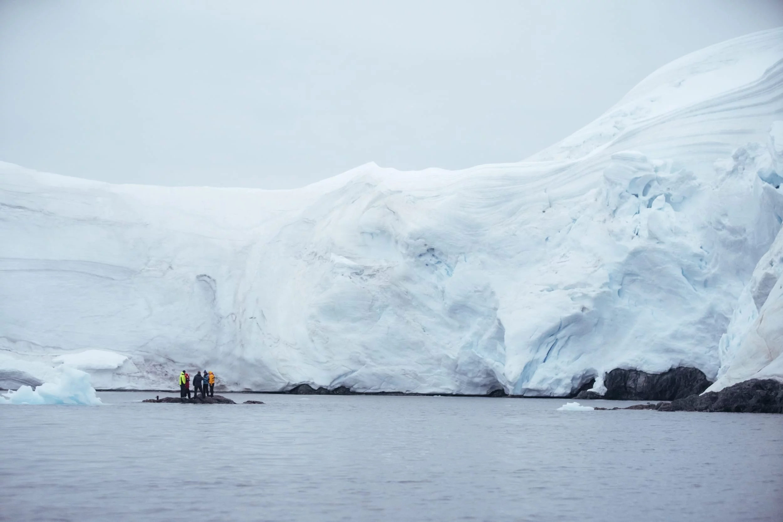 Research team on a small outcropping of land, looking up at the Antarctic ice sheet.