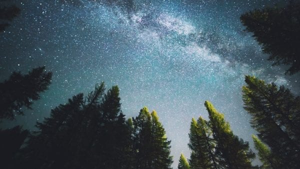 Lenovo brand image: looking up through pine trees at the milky way galaxy at night.