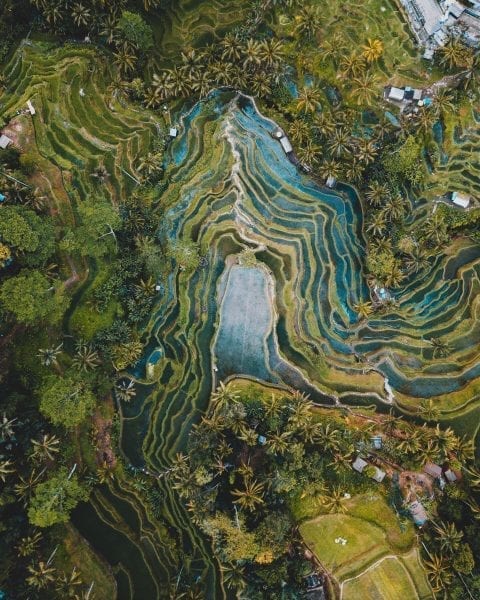 Lenovo brand image - satellite view of agricultural terraces
