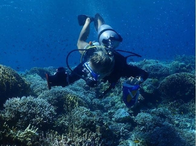 Coral reef research 