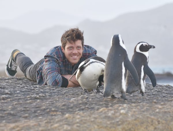 Dr. Sylvain Studying Penguins 