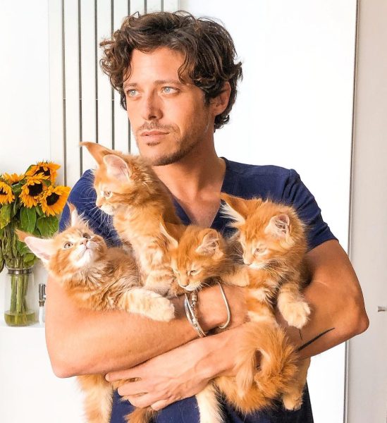 Dr. Sylvain and kittens