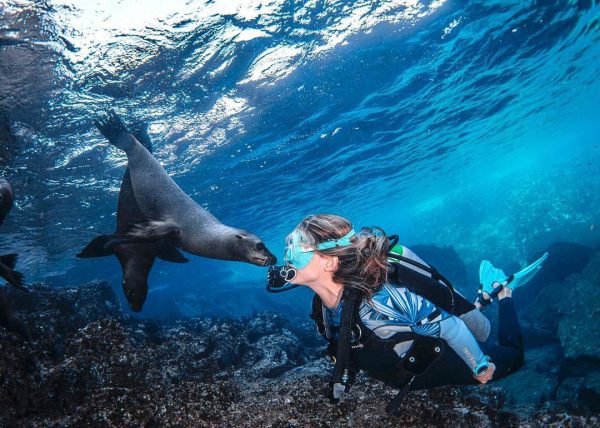 Gador swimming with a sea lion