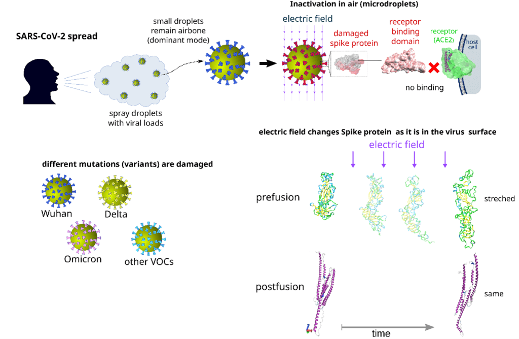 تصویری از تأثیر میدان‌های الکتریکی بر پروتئین‌های سنبله‌ی Cornavirus.