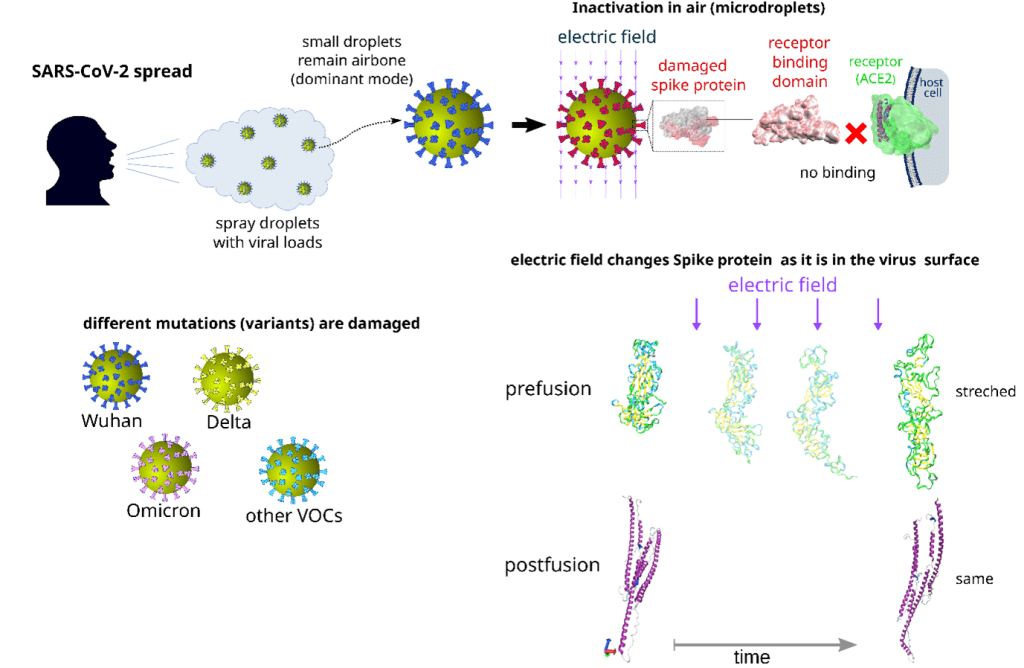 Illustration of influence of electric fields on spike proteins of the Cornavirus.