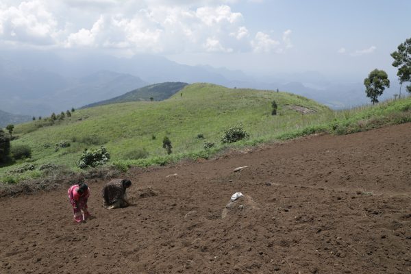 People farming hills in India