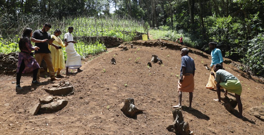 People developing the ground for millet farming