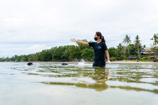 Jessica Labaja standing in the water in the Philippines after releasing a research sea turtle.
