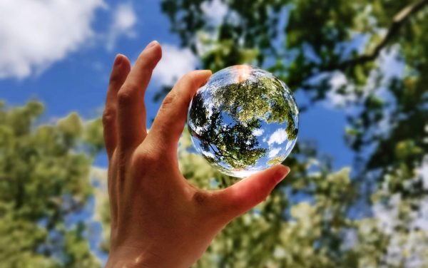 clear globe held skyward between finger and thumb refracting the trees and sky above