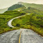 Winding road ahead, with grass growing either side.