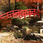 Japanese bridge