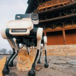 Lenovo Daystar Robot, a six-legged intelligent robot dog, completes a mission at the historic Yingxian Wooden Pagoda. With cat.