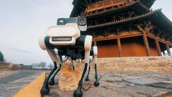 Lenovo Daystar Robot, a six-legged intelligent robot dog, completes a mission at the historic Yingxian Wooden Pagoda. With cat.