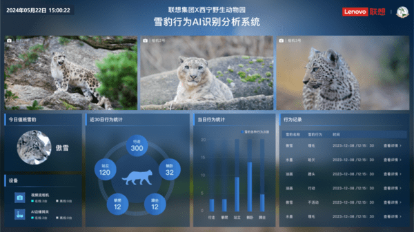 AI-powered Snow Leopard Behavior Recognition & Analysis System